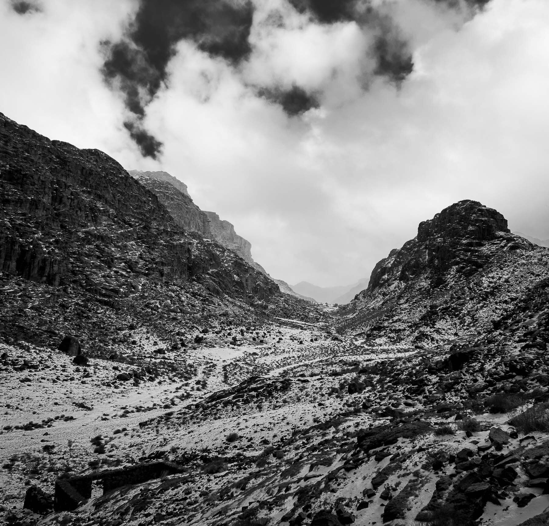 Sinai Winter